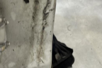 Porte avant droit MINI MINI 1 R52