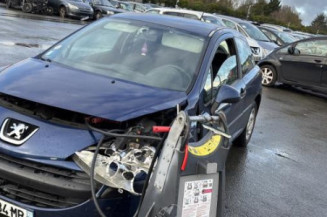 Catalyseur (echappement) PEUGEOT 207 Photo n°1