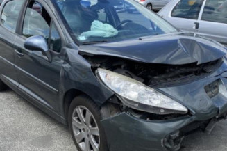 Catalyseur (echappement) PEUGEOT 207