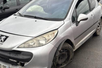 Catalyseur (echappement) PEUGEOT 207