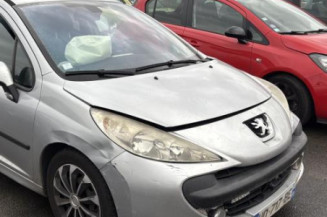 Catalyseur (echappement) PEUGEOT 207