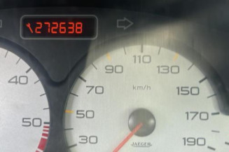 Catalyseur (echappement) PEUGEOT 206 Photo n°1