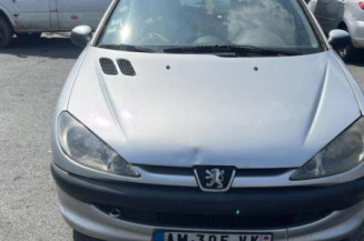 Catalyseur (echappement) PEUGEOT 206