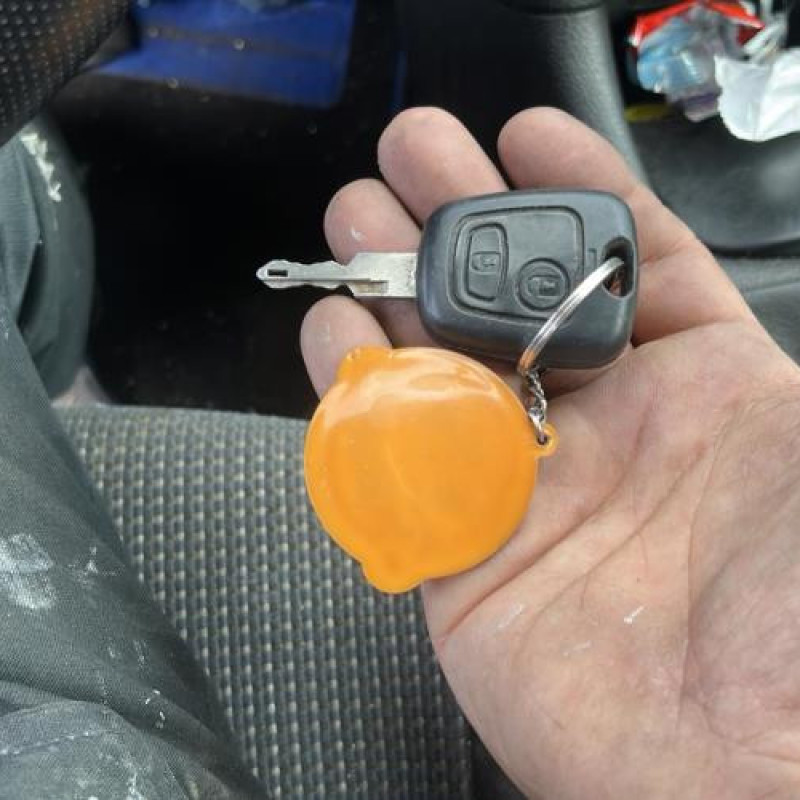 Catalyseur (echappement) PEUGEOT 206 Photo n°8