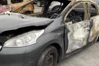 Catalyseur (echappement) PEUGEOT 208 1 Photo n°1