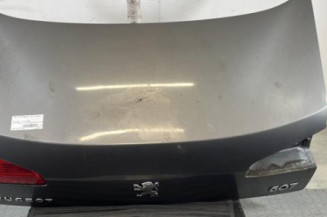 Malle/Hayon arriere PEUGEOT 607 Photo n°1