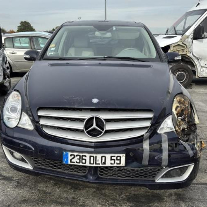 Radiateur eau MERCEDES CLASSE R 251 Photo n°19