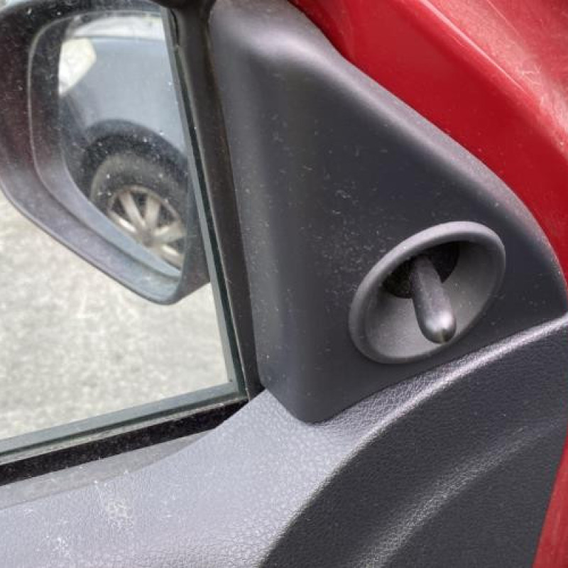 Porte arriere droit DACIA SANDERO 2 Photo n°19