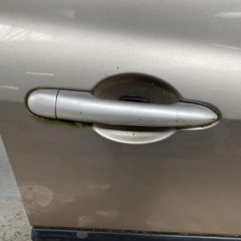 Porte avant droit RENAULT CLIO 3 Photo n°1