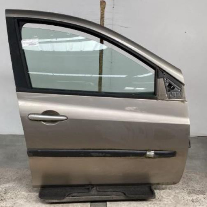 Porte avant droit RENAULT CLIO 3 Photo n°3
