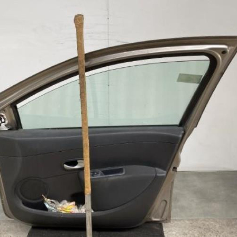 Porte avant droit RENAULT CLIO 3 Photo n°5