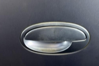 Porte arriere gauche OPEL MERIVA A