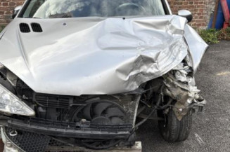 Porte arriere droit PEUGEOT 206