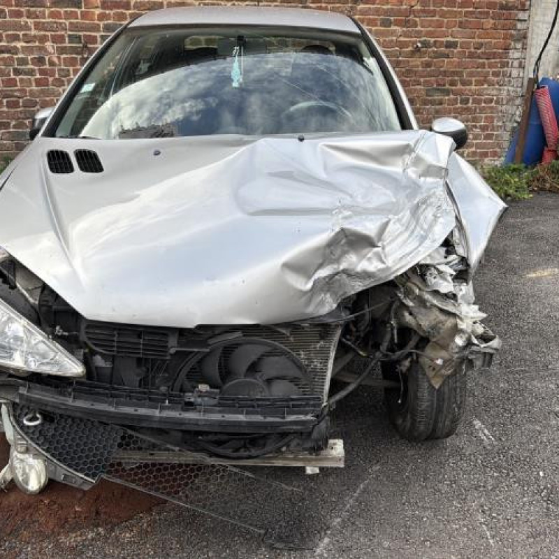 Porte arriere droit PEUGEOT 206 Photo n°7