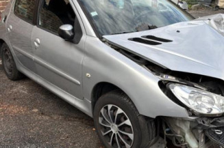 Porte arriere droit PEUGEOT 206