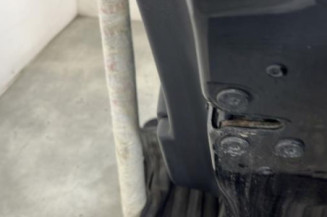 Porte arriere droit RENAULT CLIO 4