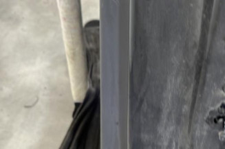 Porte arriere gauche RENAULT CLIO 4