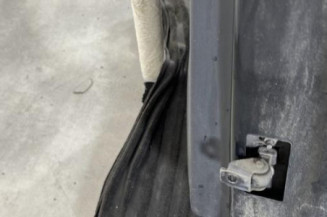 Porte arriere gauche RENAULT CLIO 4