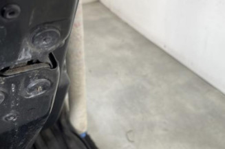 Porte arriere gauche RENAULT CLIO 4