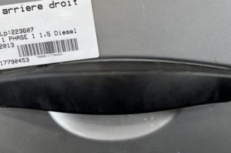 Porte arriere droit DACIA DUSTER 1