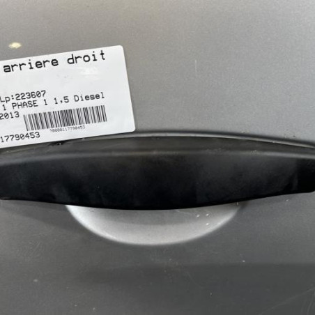 Porte arriere droit DACIA DUSTER 1