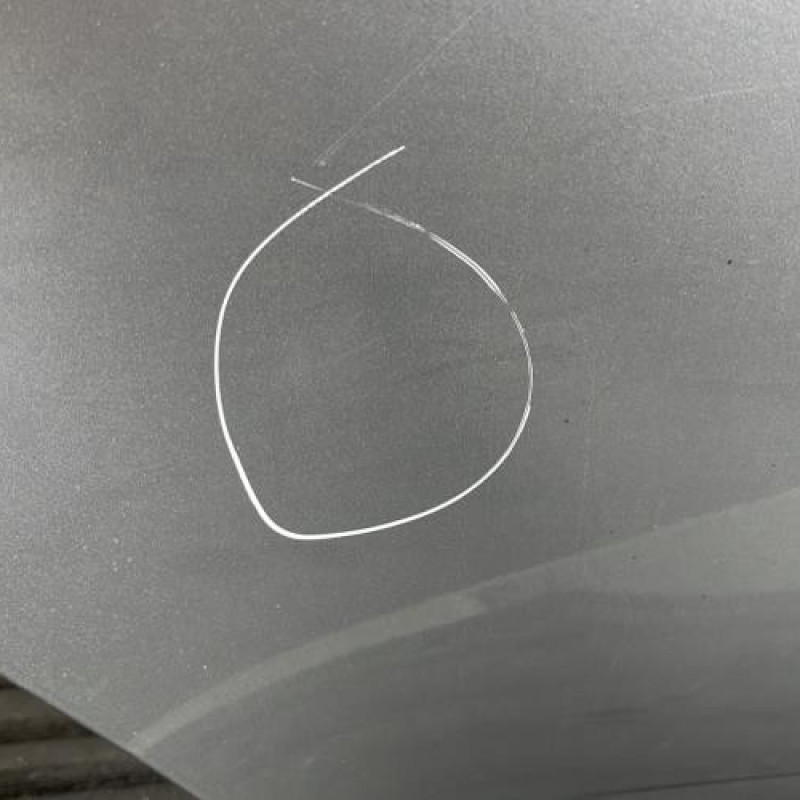 Porte arriere droit DACIA DUSTER 1 Photo n°3