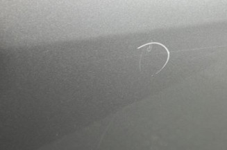 Porte arriere droit DACIA DUSTER 1