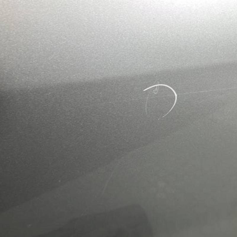 Porte arriere droit DACIA DUSTER 1 Photo n°4