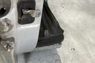 Porte arriere droit DACIA DUSTER 1