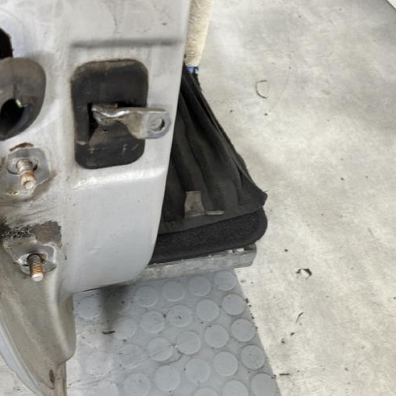 Porte arriere droit DACIA DUSTER 1 Photo n°6