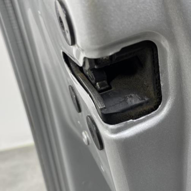 Porte avant gauche RENAULT MEGANE 3 Photo n°5