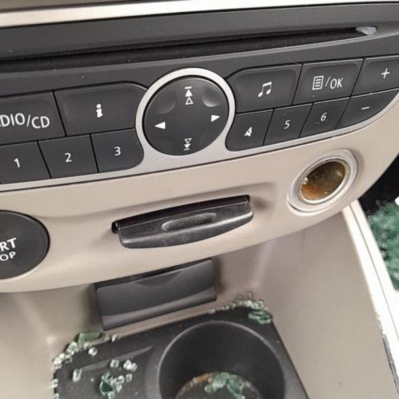 Porte avant gauche RENAULT MEGANE 3 Photo n°9