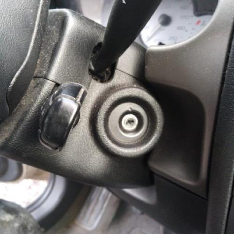 Porte avant gauche CITROEN BERLINGO 1 Photo n°9