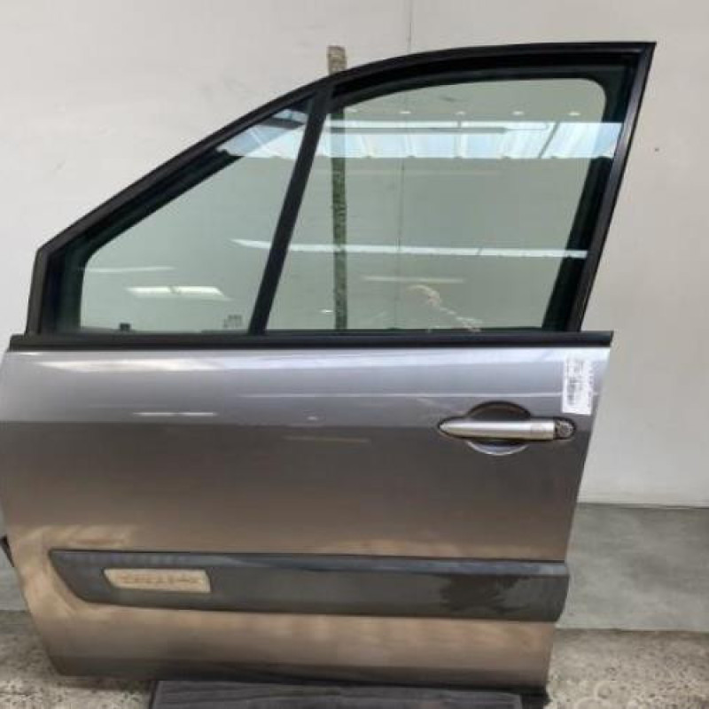 Porte avant gauche RENAULT SCENIC 2 Photo n°1