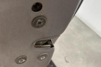 Porte avant gauche RENAULT SCENIC 2