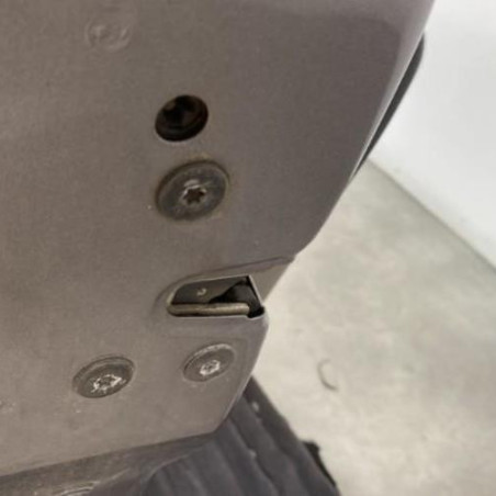 Porte avant gauche RENAULT SCENIC 2