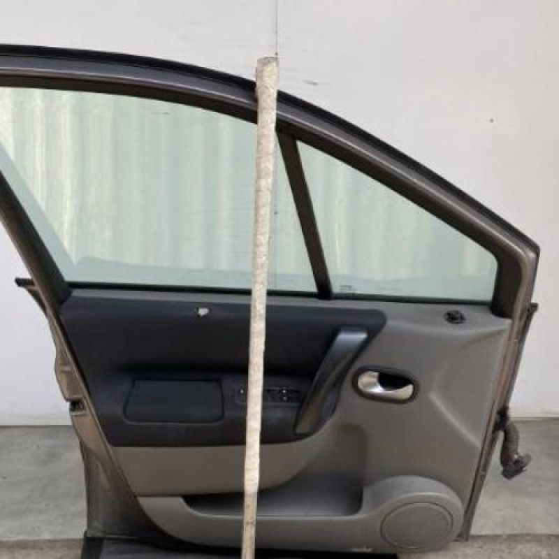 Porte avant gauche RENAULT SCENIC 2 Photo n°3