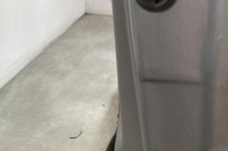 Porte avant gauche RENAULT SCENIC 2