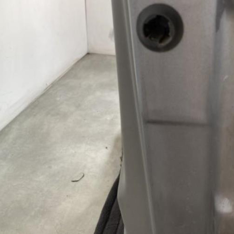 Porte avant gauche RENAULT SCENIC 2 Photo n°6