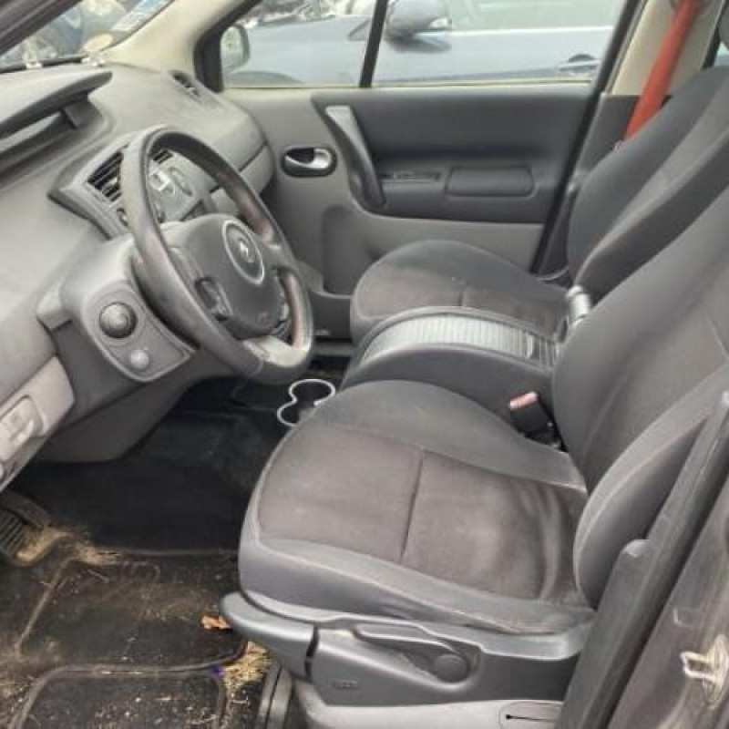 Porte avant gauche RENAULT SCENIC 2 Photo n°7