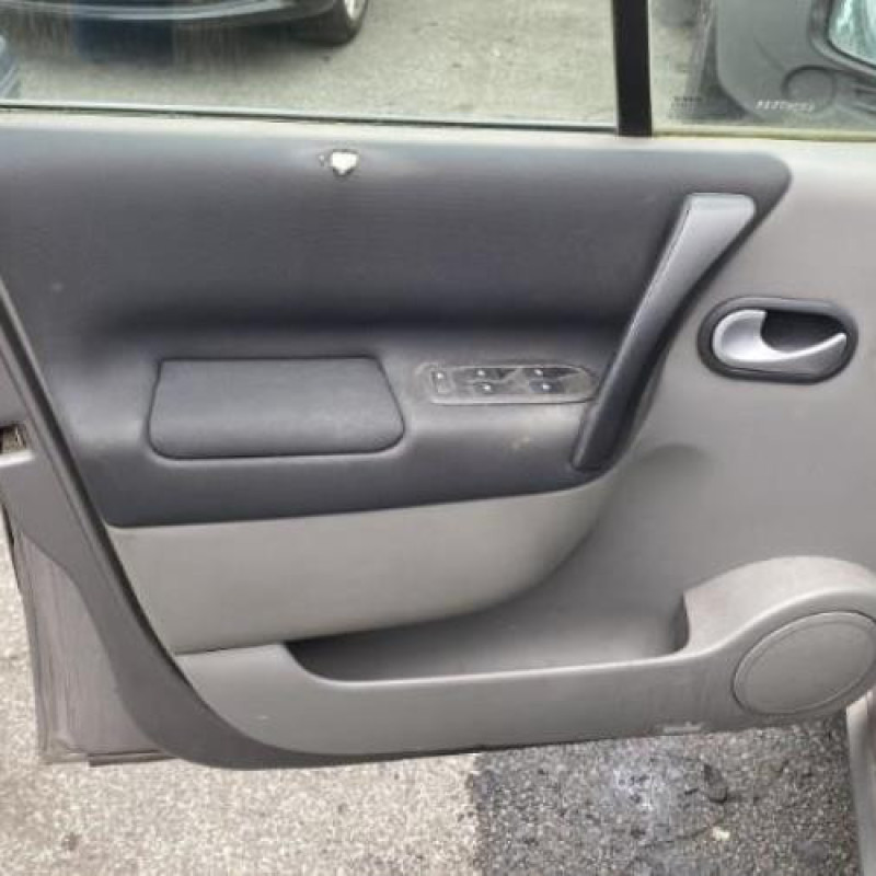 Porte avant gauche RENAULT SCENIC 2 Photo n°9