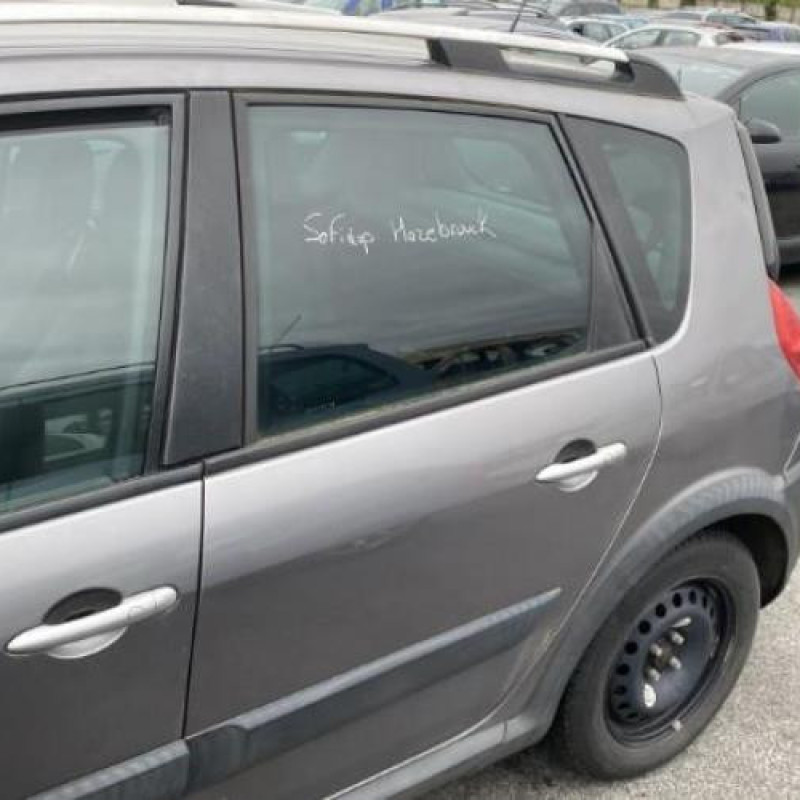 Porte avant gauche RENAULT SCENIC 2 Photo n°10