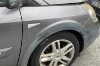 Porte avant gauche RENAULT SCENIC 2