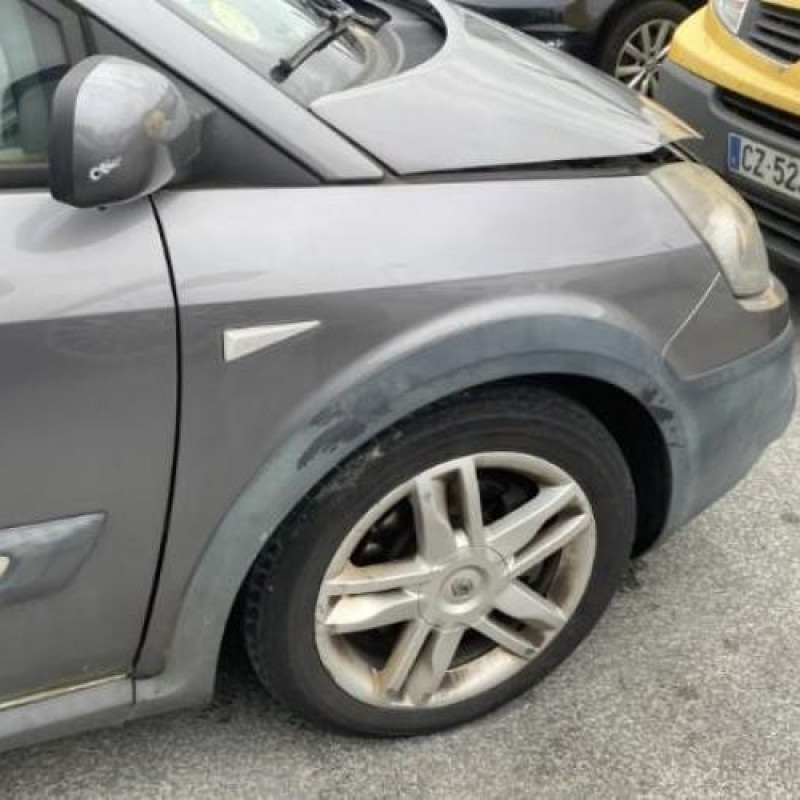 Porte avant gauche RENAULT SCENIC 2 Photo n°12
