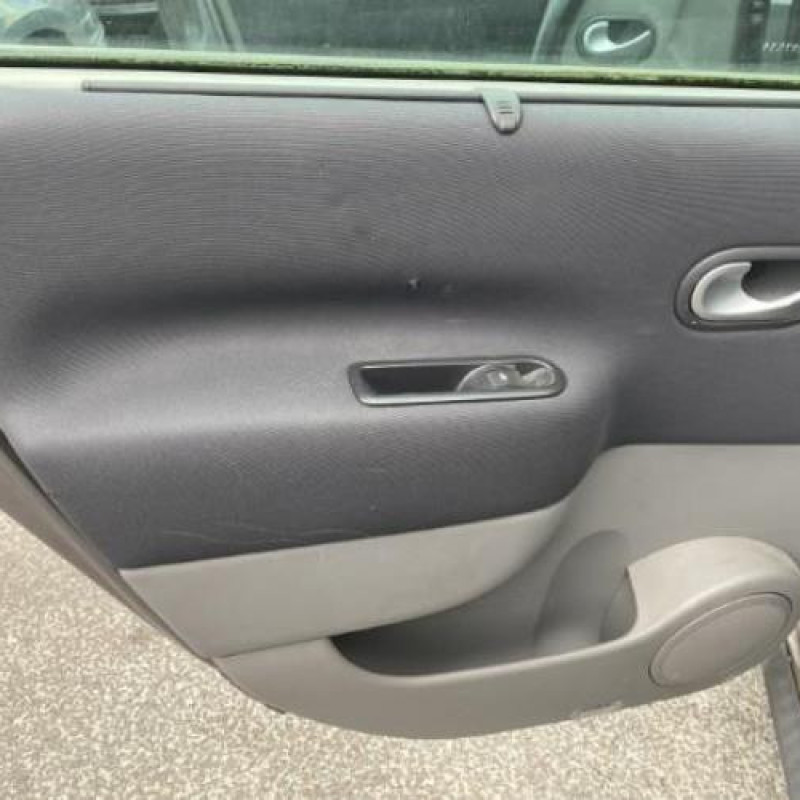 Porte avant gauche RENAULT SCENIC 2 Photo n°13