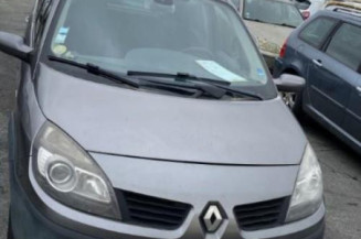 Porte avant gauche RENAULT SCENIC 2