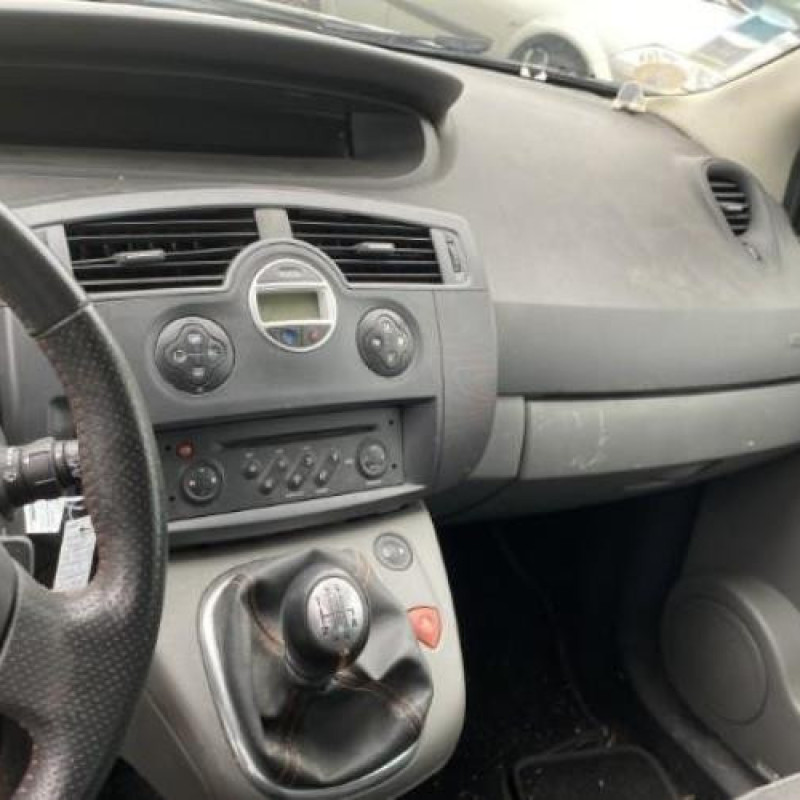 Porte avant gauche RENAULT SCENIC 2 Photo n°16