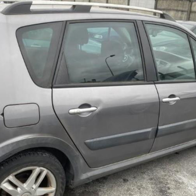 Porte avant gauche RENAULT SCENIC 2 Photo n°19