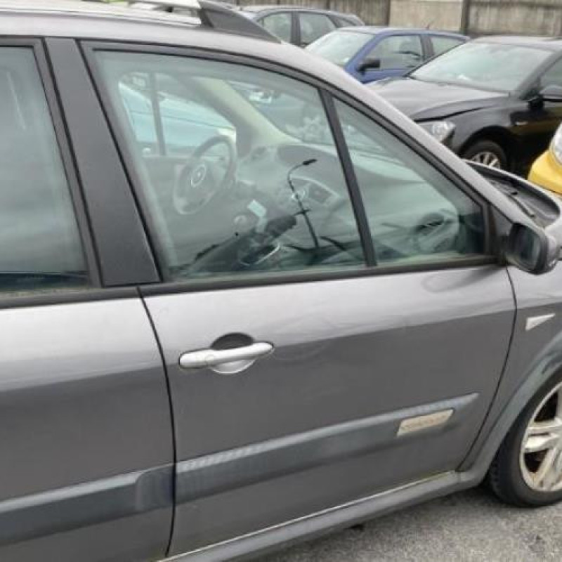 Porte avant gauche RENAULT SCENIC 2 Photo n°20