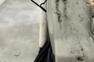 Porte avant gauche MINI MINI 1 R52